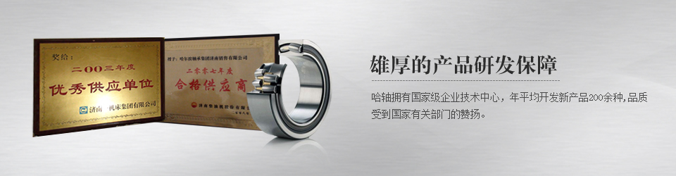 哈軸濟(jì)南銷售有限公司滾動(dòng)軸承，深溝球軸承